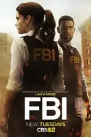 ФБР смотреть онлайн сериал 1-7 сезон