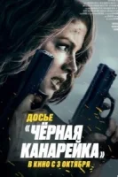 Досье «Чёрная канарейка» смотреть онлайн (2024)
